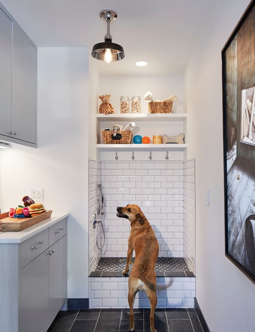dog friendly interior design tips
